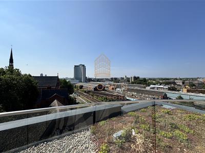 Picture 17